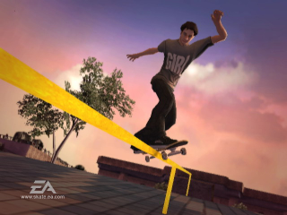 Illustration for article titled New Skate It Wii Screens